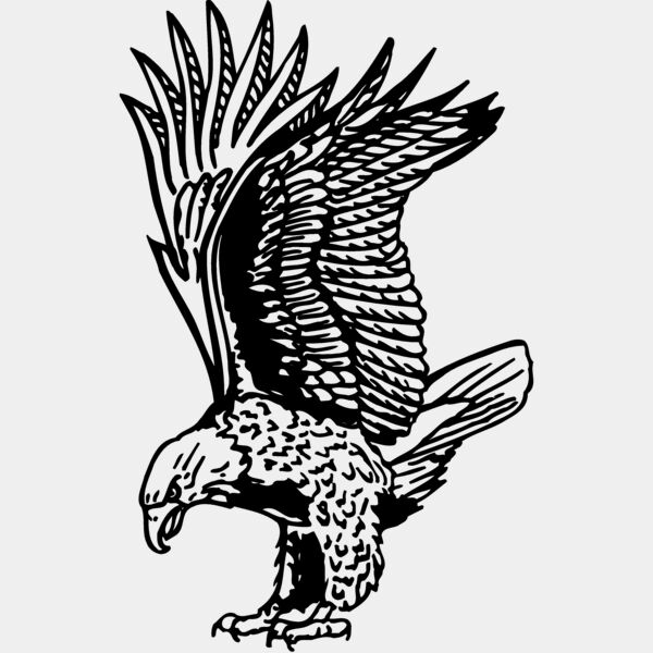 EAGLE020 Thumbnail