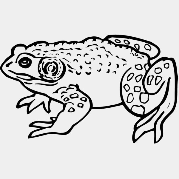 FROG02 Thumbnail