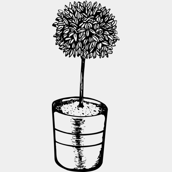 PLANT01 Thumbnail