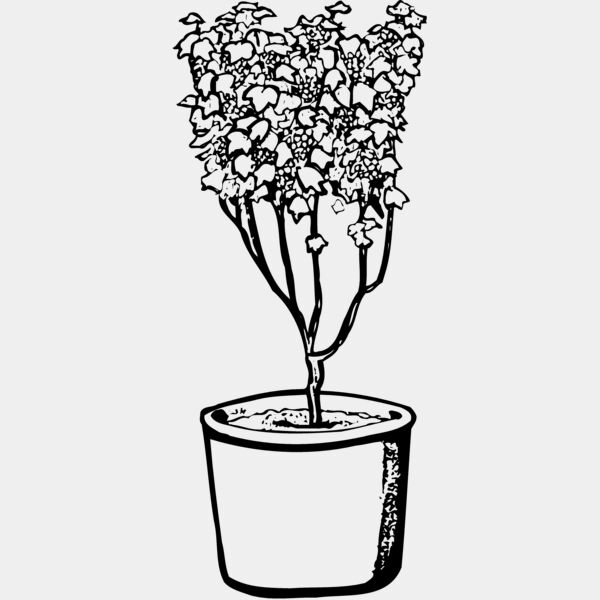 PLANT04 Thumbnail